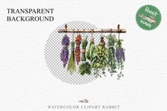 Hanging Dried Herbs Flowers Floral Clipart PNG Scrapbooking Nursery Watercolor Transparent wedding invitation shirt designs sublimation printable digital bloom watercolor floral dried hanging herbs flowers clipart, sublimation nursery, wedding invitation