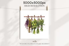 Hanging Dried Herbs Flowers Floral Clipart PNG Scrapbooking Nursery Watercolor Transparent wedding invitation shirt designs sublimation printable digital bloom watercolor floral dried hanging herbs flowers clipart, sublimation nursery, wedding invitation