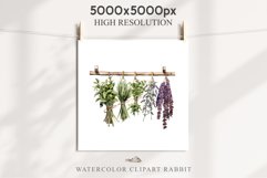 Hanging Dried Herbs Flowers Floral Clipart PNG Scrapbooking Nursery Watercolor Transparent wedding invitation shirt designs sublimation printable digital bloom watercolor floral dried hanging herbs flowers clipart, sublimation nursery, wedding invitation
