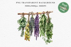 Hanging Dried Herbs Flowers Floral Clipart PNG Scrapbooking Nursery Watercolor Transparent wedding invitation shirt designs sublimation printable digital bloom watercolor floral dried hanging herbs flowers clipart, sublimation nursery, wedding invitation