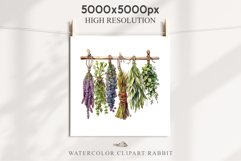 Hanging Dried Herbs Flowers Floral Clipart PNG Scrapbooking Nursery Watercolor Transparent wedding invitation shirt designs sublimation printable digital bloom watercolor floral dried hanging herbs flowers clipart, sublimation nursery, wedding invitation