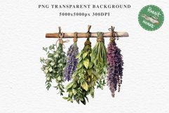 Hanging Dried Herbs Flowers Floral Clipart PNG Scrapbooking Nursery Watercolor Transparent wedding invitation shirt designs sublimation printable digital bloom watercolor floral dried hanging herbs flowers clipart, sublimation nursery, wedding invitation