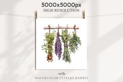 Hanging Dried Herbs Flowers Floral Clipart PNG Scrapbooking Nursery Watercolor Transparent wedding invitation shirt designs sublimation printable digital bloom watercolor floral dried hanging herbs flowers clipart, sublimation nursery, wedding invitation