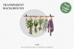 Hanging Dried Herbs Flowers Floral Clipart PNG Scrapbooking Nursery Watercolor Transparent wedding invitation shirt designs sublimation printable digital bloom watercolor floral dried hanging herbs flowers clipart, sublimation nursery, wedding invitation