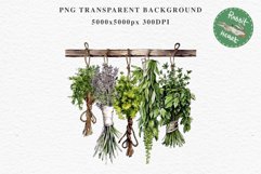 Hanging Dried Herbs Flowers Floral Clipart PNG Scrapbooking Nursery Watercolor Transparent wedding invitation shirt designs sublimation printable digital bloom watercolor floral dried hanging herbs flowers clipart, sublimation nursery, wedding invitation