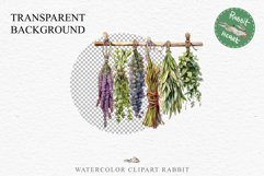 Hanging Dried Herbs Flowers Floral Clipart PNG Scrapbooking Nursery Watercolor Transparent wedding invitation shirt designs sublimation printable digital bloom watercolor floral dried hanging herbs flowers clipart, sublimation nursery, wedding invitation