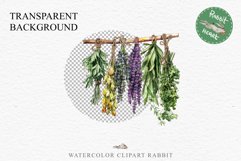 Hanging Dried Herbs Flowers Floral Clipart PNG Scrapbooking Nursery Watercolor Transparent wedding invitation shirt designs sublimation printable digital bloom watercolor floral dried hanging herbs flowers clipart, sublimation nursery, wedding invitation