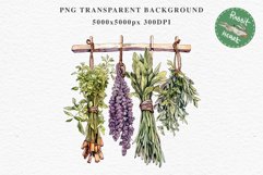 Hanging Dried Herbs Flowers Floral Clipart PNG Scrapbooking Nursery Watercolor Transparent wedding invitation shirt designs sublimation printable digital bloom watercolor floral dried hanging herbs flowers clipart, sublimation nursery, wedding invitation