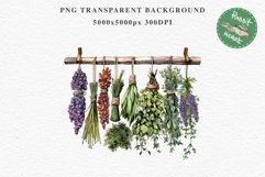 Hanging Dried Herbs Flowers Floral Clipart PNG Scrapbooking Nursery Watercolor Transparent wedding invitation shirt designs sublimation printable digital bloom watercolor floral dried hanging herbs flowers clipart, sublimation nursery, wedding invitation