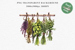 Hanging Dried Herbs Flowers Floral Clipart PNG Scrapbooking Nursery Watercolor Transparent wedding invitation shirt designs sublimation printable digital bloom watercolor floral dried hanging herbs flowers clipart, sublimation nursery, wedding invitation