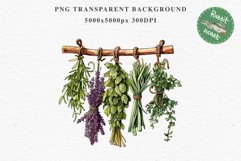 Hanging Dried Herbs Flowers Floral Clipart PNG Scrapbooking Nursery Watercolor Transparent wedding invitation shirt designs sublimation printable digital bloom watercolor floral dried hanging herbs flowers clipart, sublimation nursery, wedding invitation