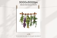 Hanging Dried Herbs Flowers Floral Clipart PNG Scrapbooking Nursery Watercolor Transparent wedding invitation shirt designs sublimation printable digital bloom watercolor floral dried hanging herbs flowers clipart, sublimation nursery, wedding invitation