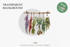 Hanging Dried Herbs Flowers Floral Clipart PNG Scrapbooking Nursery Watercolor Transparent wedding invitation shirt designs sublimation printable digital bloom watercolor floral dried hanging herbs flowers clipart, sublimation nursery, wedding invitation