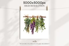 Hanging Dried Herbs Flowers Floral Clipart PNG Scrapbooking Nursery Watercolor Transparent wedding invitation shirt designs sublimation printable digital bloom watercolor floral dried hanging herbs flowers clipart, sublimation nursery, wedding invitation