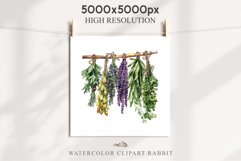 Hanging Dried Herbs Flowers Floral Clipart PNG Scrapbooking Nursery Watercolor Transparent wedding invitation shirt designs sublimation printable digital bloom watercolor floral dried hanging herbs flowers clipart, sublimation nursery, wedding invitation