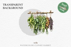 Hanging Dried Herbs Flowers Floral Clipart PNG Scrapbooking Nursery Watercolor Transparent wedding invitation shirt designs sublimation printable digital bloom