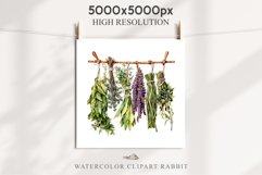 Hanging Dried Herbs Flowers Floral Clipart PNG Scrapbooking Nursery Watercolor Transparent wedding invitation shirt designs sublimation printable digital bloom watercolor floral dried hanging herbs flowers clipart, sublimation nursery, wedding invitation