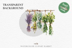 Hanging Dried Herbs Flowers Floral Clipart PNG Scrapbooking Nursery Watercolor Transparent wedding invitation shirt designs sublimation printable digital bloom watercolor floral dried hanging herbs flowers clipart, sublimation nursery, wedding invitation