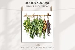 Hanging Dried Herbs Flowers Floral Clipart PNG Scrapbooking Nursery Watercolor Transparent wedding invitation shirt designs sublimation printable digital bloom