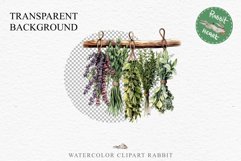 Hanging Dried Herbs Flowers Floral Clipart PNG Scrapbooking Nursery Watercolor Transparent wedding invitation shirt designs sublimation printable digital bloom watercolor floral dried hanging herbs flowers clipart, sublimation nursery, wedding invitation