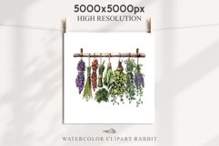Hanging Dried Herbs Flowers Floral Clipart PNG Scrapbooking Nursery Watercolor Transparent wedding invitation shirt designs sublimation printable digital bloom watercolor floral dried hanging herbs flowers clipart, sublimation nursery, wedding invitation