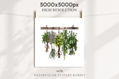 Hanging Dried Herbs Flowers Floral Clipart PNG Scrapbooking Nursery Watercolor Transparent wedding invitation shirt designs sublimation printable digital bloom watercolor floral dried hanging herbs flowers clipart, sublimation nursery, wedding invitation