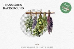 Hanging Dried Herbs Flowers Floral Clipart PNG Scrapbooking Nursery Watercolor Transparent wedding invitation shirt designs sublimation printable digital bloom watercolor floral dried hanging herbs flowers clipart, sublimation nursery, wedding invitation