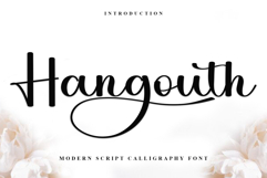Hangouth Product Image 1