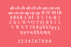 Hantepy Qablema - Modern Serif Font Product Image 18