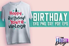 Birthday SVG Bundle | Birthday Quotes SVG Design | Funny Product Image 17