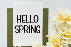 Happy Easter Product Image 2