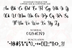 Happy Ground Product Image 7