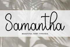 Happy Holiday Product Image 5