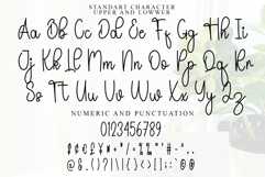 Happy Holiday Product Image 4