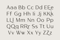 Haqmuse - Beauty Elegant Minimalist Sans Font Product Image 12