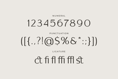 Haqmuse - Beauty Elegant Minimalist Sans Font Product Image 13