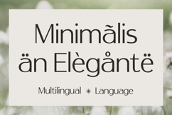 Haqmuse - Beauty Elegant Minimalist Sans Font Product Image 2