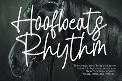 Haqutian Monoline Casual Signature Font Product Image 2