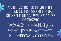 Hardmix - Modern Display Serif Product Image 18