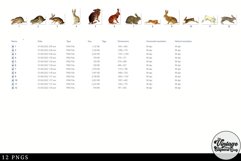 Hare Vintage Animal illustration Clip Art, Clipart Product Image 2