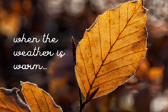 Hari Kamis - Handwritten Font Product Image 2