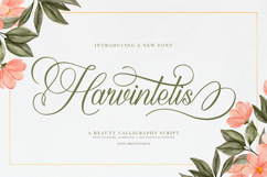 Harvintelis | Beauty Calligraphy Script Product Image 1