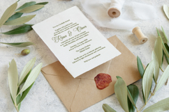 Harvintelis | Beauty Calligraphy Script Product Image 2