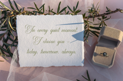 Harvintelis | Beauty Calligraphy Script Product Image 6