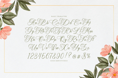 Harvintelis | Beauty Calligraphy Script Product Image 10