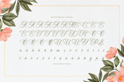 Harvintelis | Beauty Calligraphy Script Product Image 11