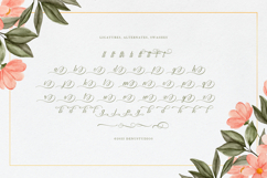 Harvintelis | Beauty Calligraphy Script Product Image 12