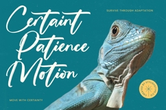 Hateline Syiteka - Modern Brush Font Product Image 8