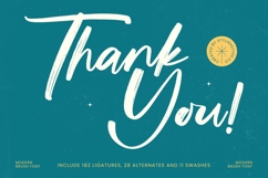 Hateline Syiteka - Modern Brush Font Product Image 20