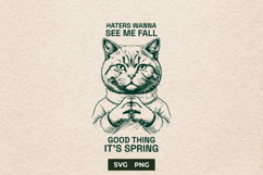 Funny Cat SVG Sarcastic Spring Quote Shirt Design PNG Product Image 1